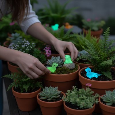 Décoration jardin 
