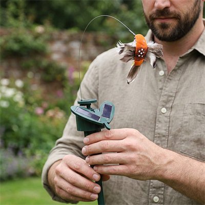 Décoration extérieur jardin | Nature Élégance - Vent de Lumière
