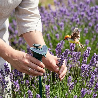 Décoration extérieur jardin | Nature Élégance - Vent de Lumière
