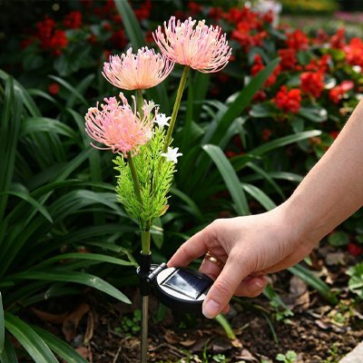 Lampe Solaire Florale | Éclairage Jardin Sans Électricité - Vent de Lumière