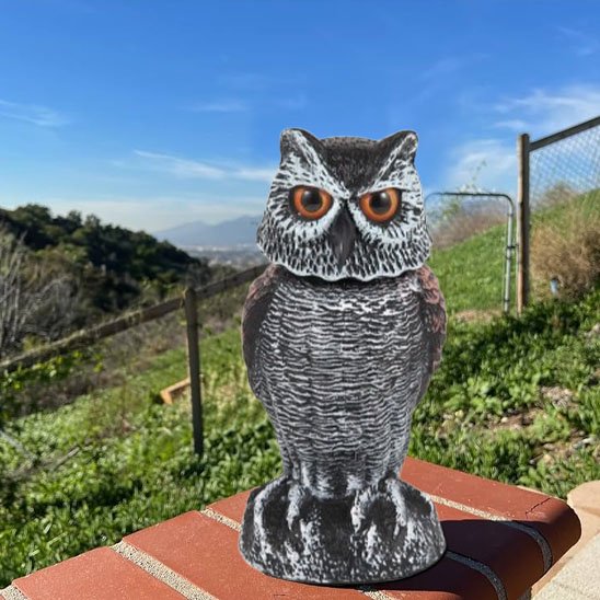 Sculpture jardin